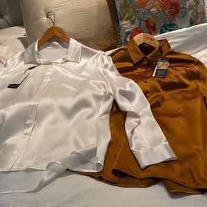 Lily Silk 1 00% mulberry silk Charmeuse Long sleeve blouses with covered placket
